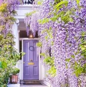 Meet your Posher, Kay